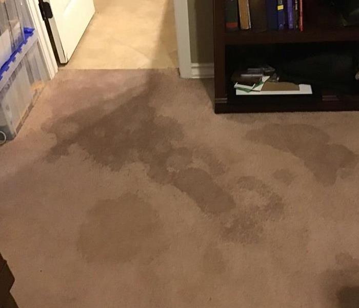 water stain on tan carpet