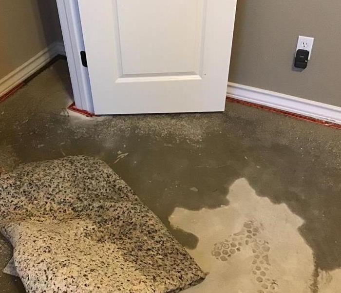 carpet lifted up to show how wet it actually is 