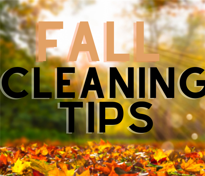 fall cleaning tips typography on fall background 