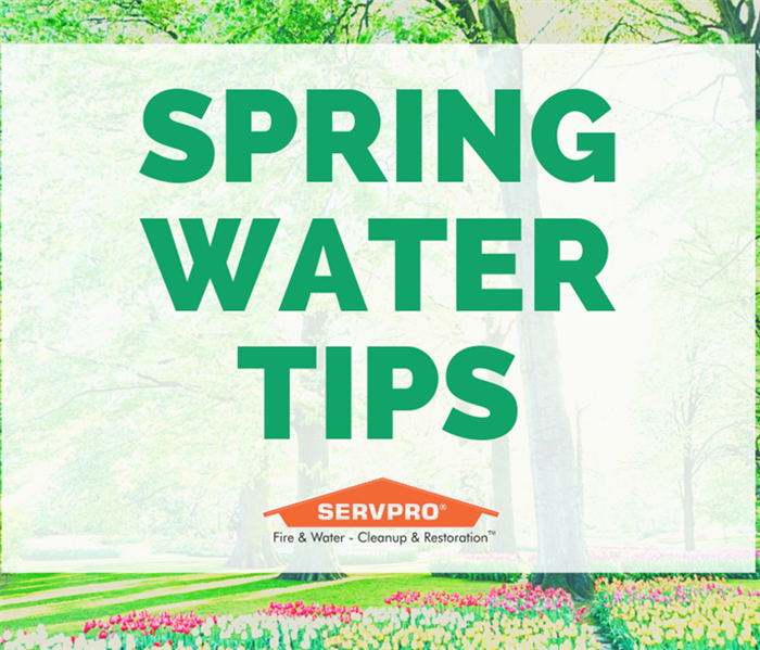 "Spring Water Tips" on floral background