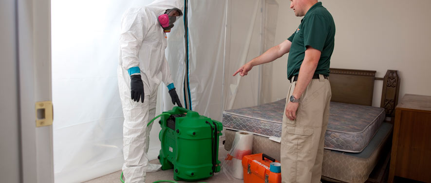 Corpus Christi, TX mold removal process